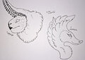 Dragon Busts