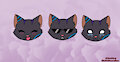 Headshoots
