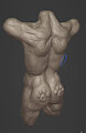 220509 butt wip by Animancer