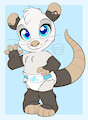Nora the Pale Possum