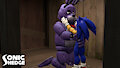 Sonic and his Rabbit Friend FOUR - 2021 Full Set