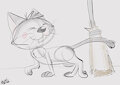 redbull cat