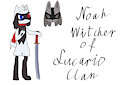 Noah the Witcher by LucaFamily