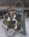 Haida