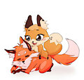 Luna saddled pappy (Foxes)