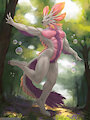 Mating Display by Danza