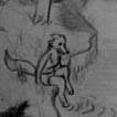 Fox by the Stream 1