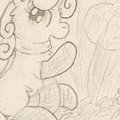 Let Us Mushroom Together!