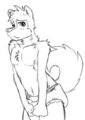 Secret  Fetish pic 003