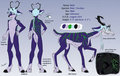 Neils ref sheet