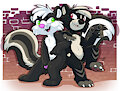 Cool Skunks