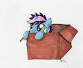 Gyro in a Box