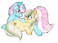 Cute Horses
