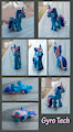 Gyro Custom