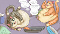 [c] Two tubby kitties