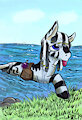 I Come From the Water