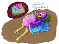 Feast of 100 Gyro Catbirds