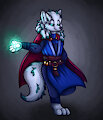 Ready wizard ych)