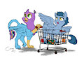 Shopping Cart