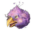 Scree