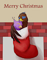 Cuddle in a Stocking
