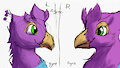 Mirrored Bird