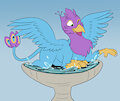 Bird Bath Fun