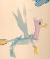 Splash of Bird