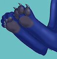 dragon paws