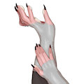 paws commission 3/34