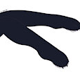 paws