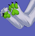 wolf paws~
