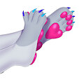 paws commission 6/34