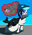 Orca and the Seal