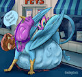 New Pet