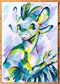 Luvashi Portrait
