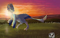 Trotting Along