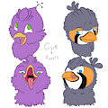 Expressive Birds