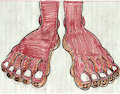 Margaret's Toe Jam