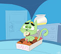 cosmo cat donuts