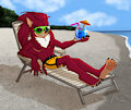 Summer Fun