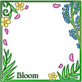 team bloom thumbnail