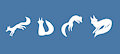 Foxes Banner