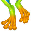 feet commission 7/34