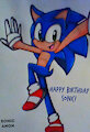 Happy Birthday Sonic!