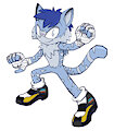 Sonic battle style Secco by Phlickie