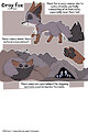 CRITTER CREATION_Gray fox