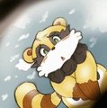 Donpoko