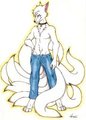 Kitsune (me!)