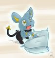 Shinxy